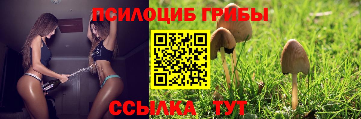Галлюциногенные грибы ЛСД  Галлюциногенные грибы GOLDEN TEACHER  Вход с VPN  Фрязино 