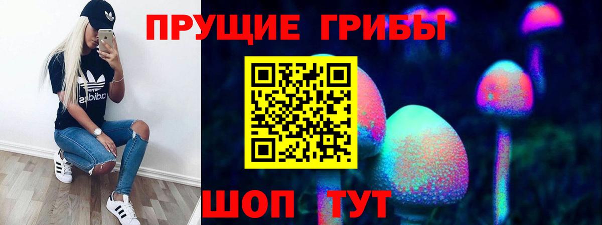 Псилоцибиновые грибы Psilocybe Фрязино